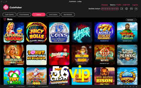 56vip App Interface